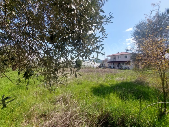 Ekşiliyurt Ortaca Satılık Çiftlik |  2+1 Oda | 85M2 10.000.000Tl | Müstakil | Soba | 1 Banyo | 2 Yatak Odası Resim-1