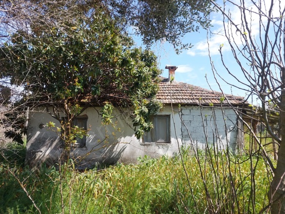 Ekşiliyurt Ortaca Satılık Çiftlik |  2+1 Oda | 85M2 10.000.000Tl | Müstakil | Soba | 1 Banyo | 2 Yatak Odası Resim-3