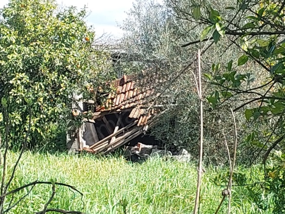 Ekşiliyurt Ortaca Satılık Çiftlik |  2+1 Oda | 85M2 10.000.000Tl | Müstakil | Soba | 1 Banyo | 2 Yatak Odası Resim-4