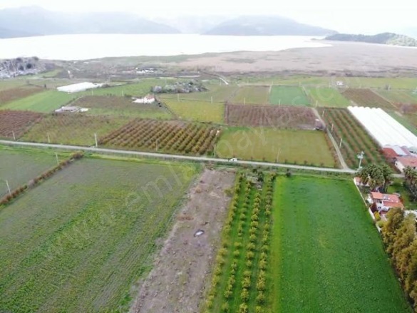 Eskiköy Ortaca Satılık Tarla |  16000M2 5.500.000Tl Resim-3