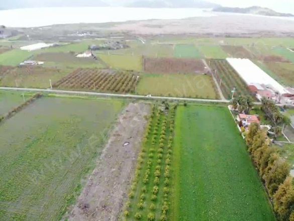 Eskiköy Ortaca Satılık Tarla |  16000M2 5.500.000Tl Resim-4