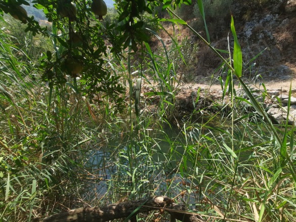 Dalyan Ortaca Satılık Tarla |  10500M2 15.000.000Tl Resim-3