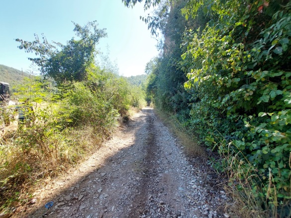 Okçular Ortaca Satılık Tarla |  4427M2 10.000.000Tl Resim-1