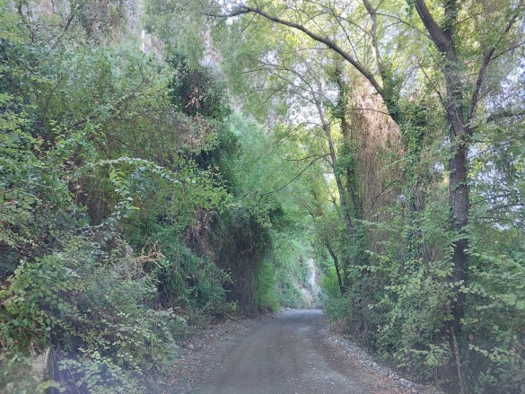 Okçular Ortaca Satılık Tarla |  4427M2 10.000.000Tl Resim-2