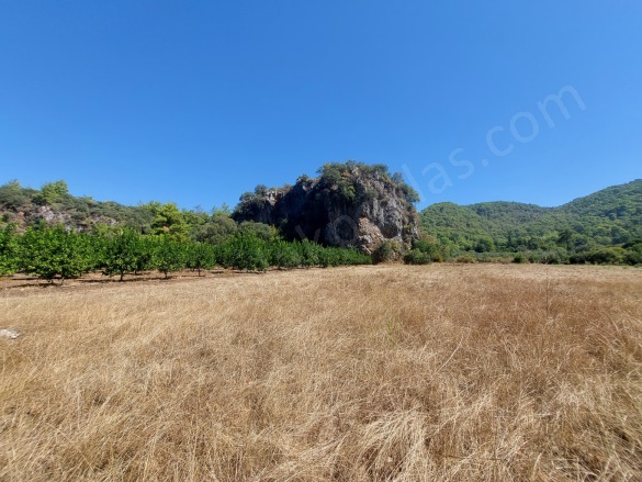 Okçular Ortaca Satılık Tarla |  4427M2 10.000.000Tl Resim-4