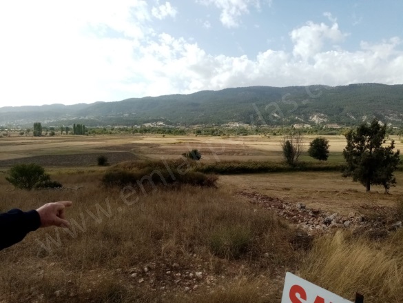 Belevi Çameli Satılık Tarla |  2603M2 1.450.000Tl Resim-1