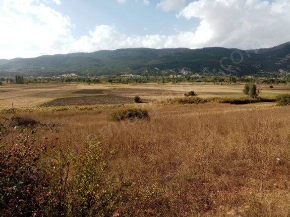 Belevi Çameli Satılık Tarla |  2603M2 1.450.000Tl Resim-2