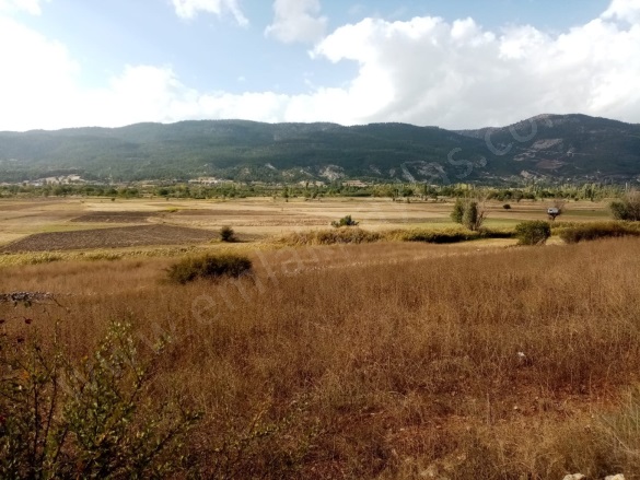 Belevi Çameli Satılık Tarla |  2603M2 1.450.000Tl Resim-3