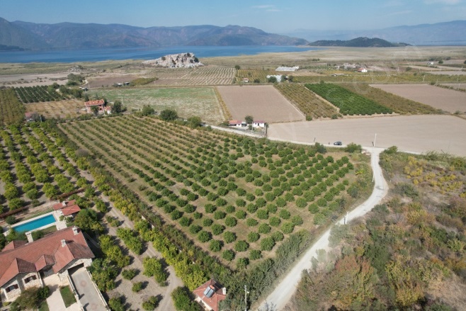 Eskiköy Ortaca Satılık Tarla |  17000M2 35.000.000Tl Resim-1