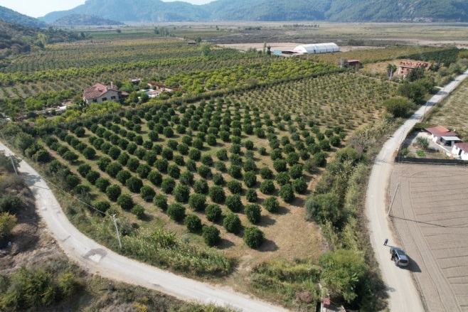 Eskiköy Ortaca Satılık Tarla |  17000M2 35.000.000Tl Resim-2