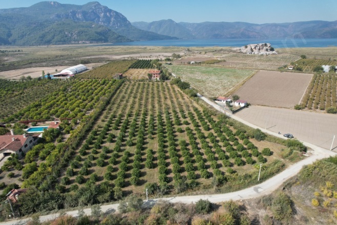 Eskiköy Ortaca Satılık Tarla |  17000M2 35.000.000Tl Resim-3