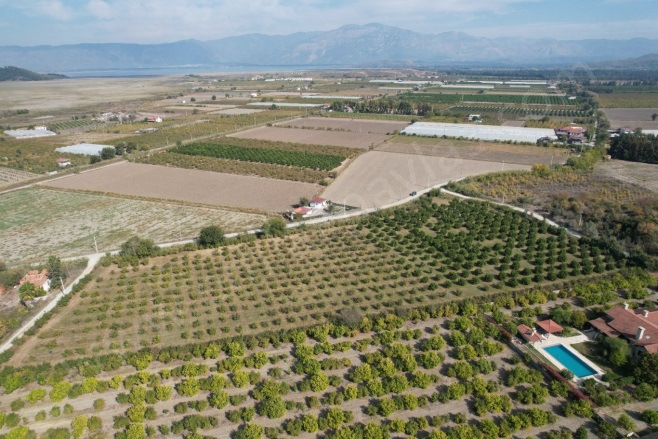 Eskiköy Ortaca Satılık Tarla |  17000M2 35.000.000Tl Resim-4