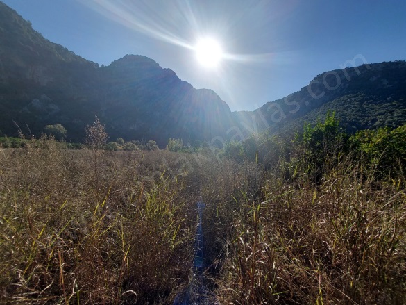 Okçular Ortaca Satılık Arazi |  6500M2 20.000.000Tl Resim-2