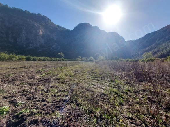 Okçular Ortaca Satılık Arazi |  6500M2 20.000.000Tl Resim-3