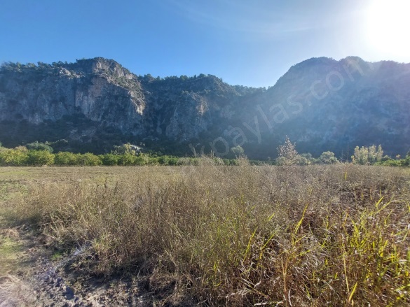 Okçular Ortaca Satılık Arazi |  6500M2 20.000.000Tl Resim-4