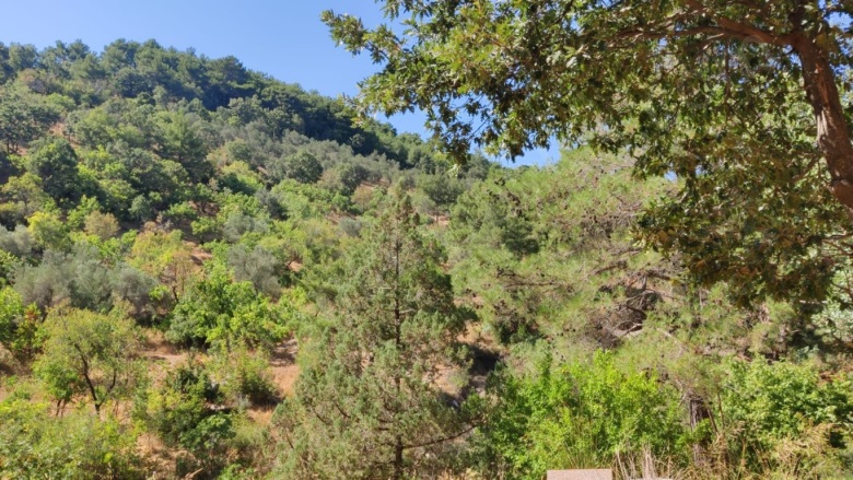 - Ayvacık Satılık Arazi |  325M2 9.000.000Tl Resim-2