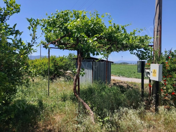 Eskiköy Ortaca Satılık Tarla |  23800M2 22.500.000Tl Resim-1