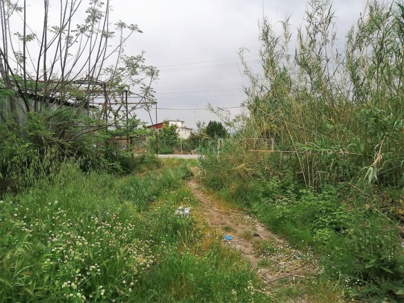 Güzelyurt Ortaca Satılık Tarla |  2571M2 18.000.000Tl Resim-2