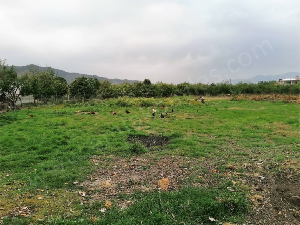 Güzelyurt Ortaca Satılık Tarla |  2571M2 18.000.000Tl Resim-3