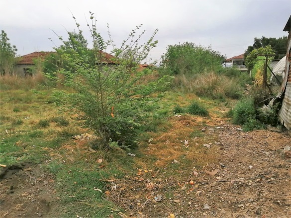 Güzelyurt Ortaca Satılık Tarla |  2571M2 18.000.000Tl Resim-5