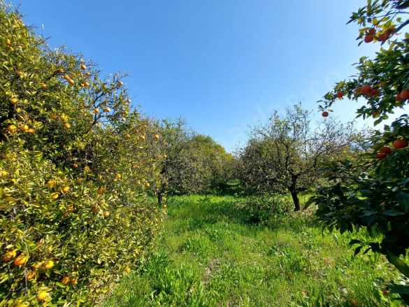 Ortaca Okçularda Satılık Arsa 1 520 M2 Yatırıma Uygun