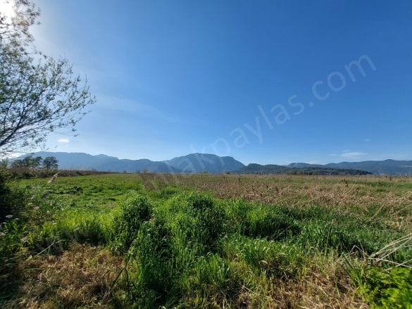 Güzelyurt Ortaca Satılık Arazi |  6350M2 12.000.000Tl Resim-4