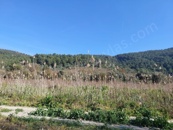 Güzelyurt Ortaca Satılık Arazi |  6350M2 12.000.000Tl Resim-5