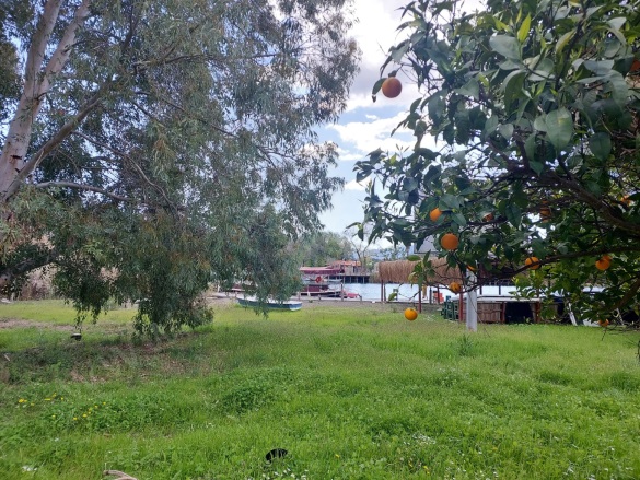 Çandır Köyceğiz Satılık Arazi |  3750M2 12.000.000Tl Resim-2