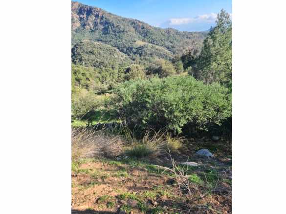 Muğla Fethiye inlice Mahallesi Kertmeç Mevkiinde Kısmen Deniz Manzaralı 15 000 M² Müstakil Tapulu A Satılık Arazi