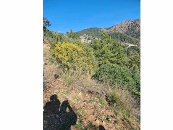 Muğla Fethiye inlice Mahallesi Kertmeç Mevkiinde Kısmen Deniz Manzaralı 15 000 M² Müstakil Tapulu A Satılık Arazi