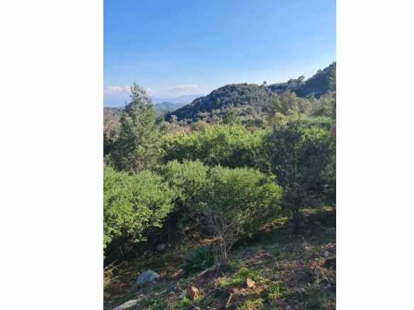 Muğla Fethiye inlice Mahallesi Kertmeç Mevkiinde Kısmen Deniz Manzaralı 15 000 M² Müstakil Tapulu A Satılık Arazi