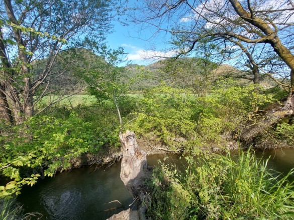 Eskiköy Ortaca Satılık Tarla |  12805M2 19.200.000Tl Resim-1