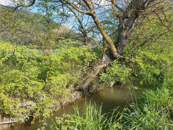 Eskiköy Ortaca Satılık Tarla |  12805M2 19.200.000Tl Resim-2