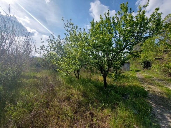 Eskiköy Ortaca Satılık Tarla |  12805M2 19.200.000Tl Resim-5