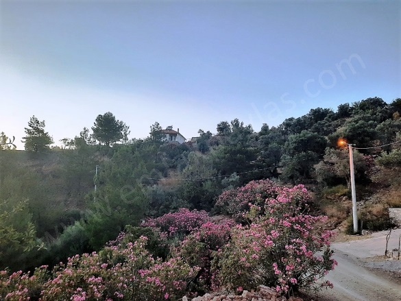 Gökbel Ortaca Satılık Tarla |  238M2 1.500.000Tl Resim-2