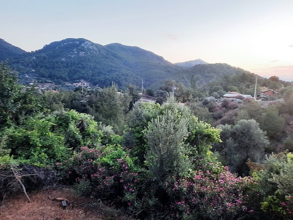 Gökbel Ortaca Satılık Tarla |  238M2 1.500.000Tl Resim-4