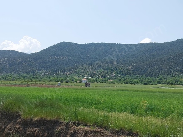 - Çameli Satılık Arsa |  5333M2 2.950.000Tl Resim-2