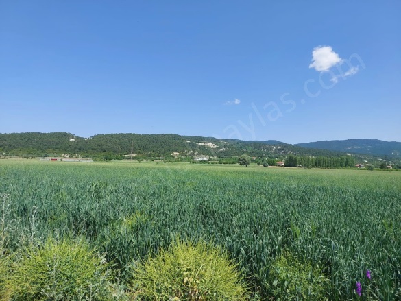 - Çameli Satılık Arsa |  5333M2 2.950.000Tl Resim-3