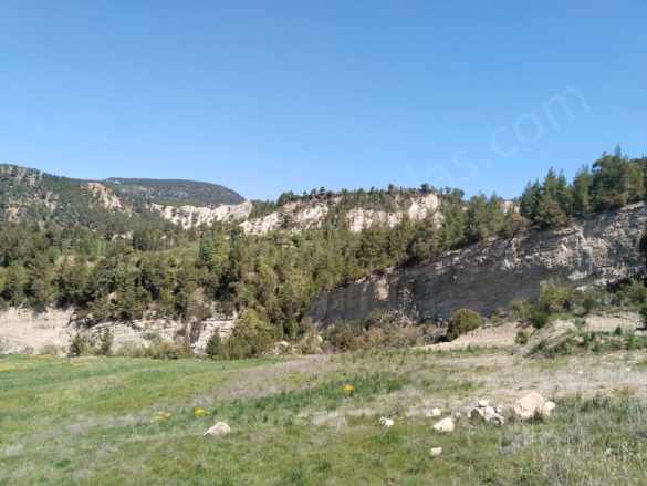 Çameli Kolakta Kelepir 20 000 M2 Müstakil Tapulu Satılık Arazi Veya Takas Olur
