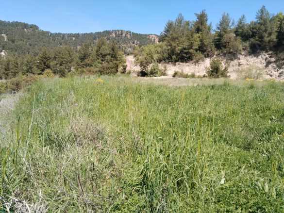 Çameli Kolakta Kelepir 20 000 M2 Müstakil Tapulu Satılık Arazi Veya Takas Olur
