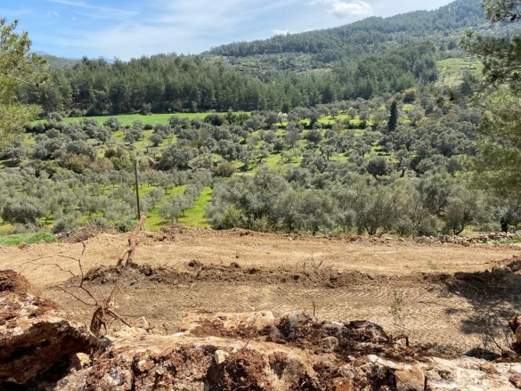 Karacahisar Milas Satılık Arazi |  2500M2 4.000.000Tl Resim-2