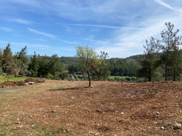 Karacahisar Milas Satılık Arazi |  2500M2 4.000.000Tl Resim-4