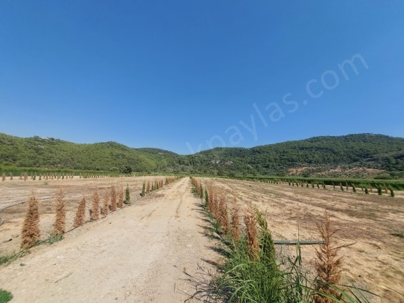 Güzelyurt Ortaca Satılık Arazi |  19000M2 680.000Tl Resim-5
