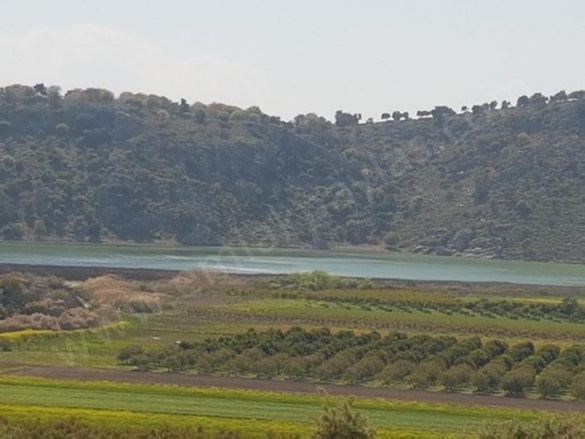 Kapıkargın Dalaman Satılık Arazi |  1430M2 2.400.000Tl Resim-2