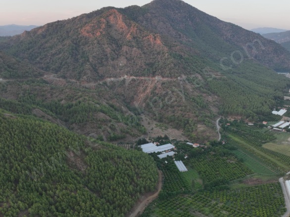 Çaylı Ortaca Satılık Tarla |  5000M2 20.000.000Tl İmarlı  Resim-2