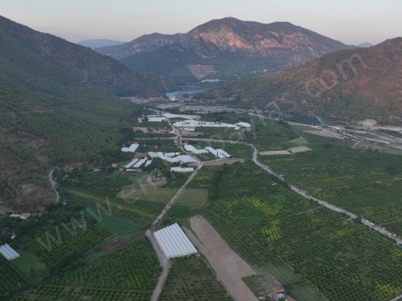 Çaylı Ortaca Satılık Tarla |  5000M2 16.500.000Tl İmarlı  Resim-3