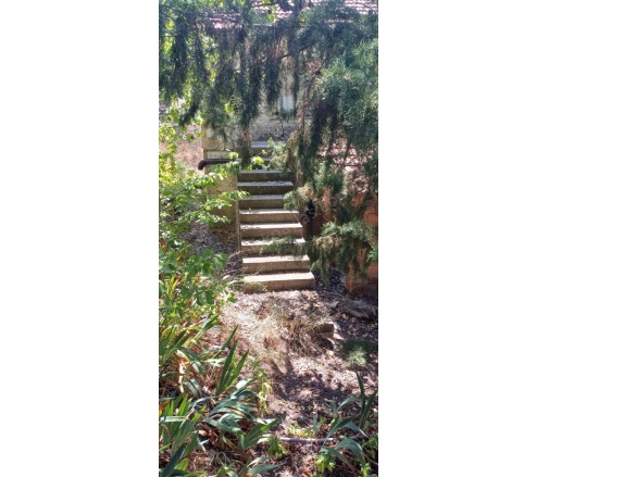 Gökçeyaka Çameli Satılık Müstakil Ev |  1+1 Oda | 750M2 2.500.000Tl | Müstakil | 1 Banyo | 1 Yatak Odası Resim-1