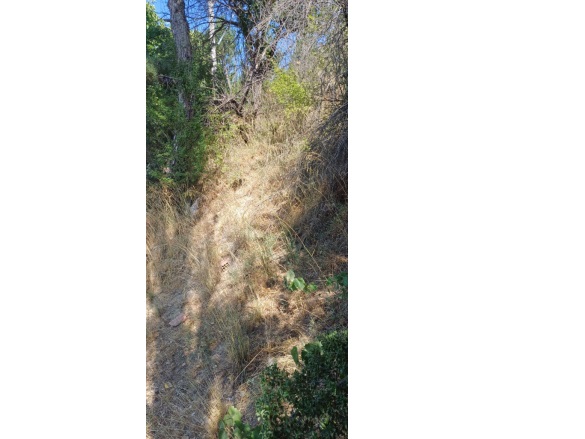 Gökçeyaka Çameli Satılık Müstakil Ev |  1+1 Oda | 750M2 2.500.000Tl | Müstakil | 1 Banyo | 1 Yatak Odası Resim-4