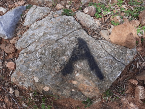 Gökbel Ortaca Satılık Arazi |  25500M2 3.000.000Tl Resim-5