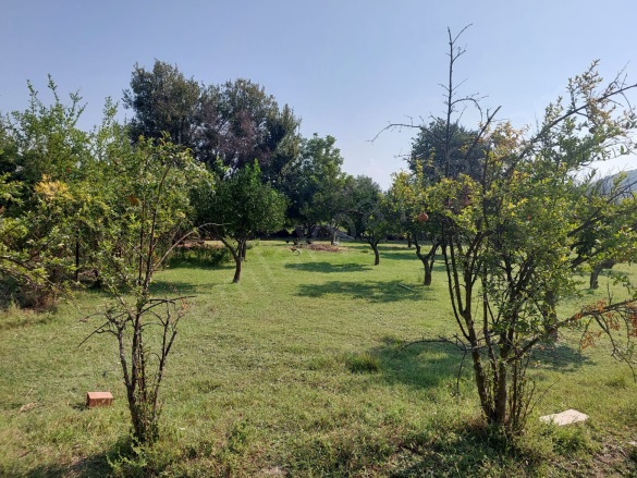 Kemaliye Ortaca Satılık Arazi |  2500M2 8.500.000Tl Resim-5